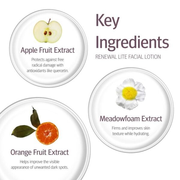 Epionce Renewal Facial Lotion - Image 4